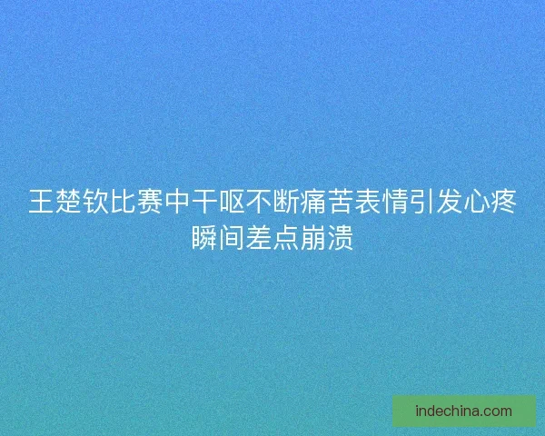 王楚钦比赛中干呕不断痛苦表情引发心疼瞬间差点崩溃 王楚钦比赛中干呕不断痛苦表情引发心疼瞬间差点崩溃