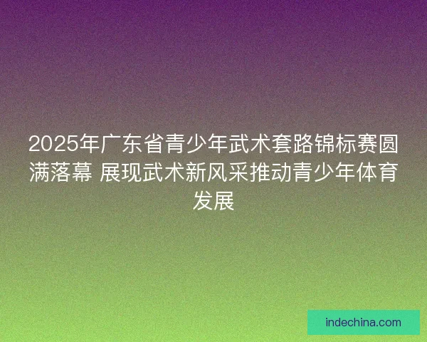 2025年广东省青少年武术套路锦标赛圆满落幕 展现武术新风采推动青少年体育发展